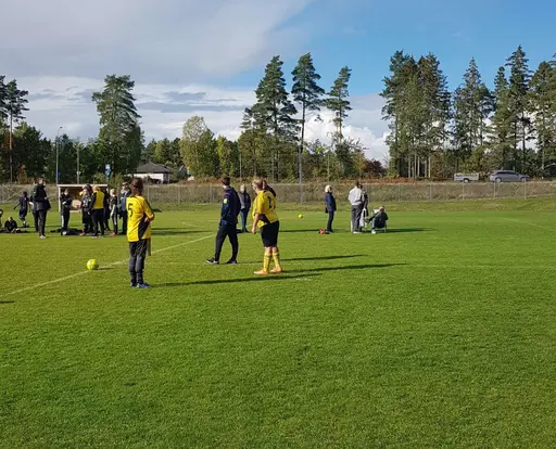 Vilka gäng vi har i FFA !!