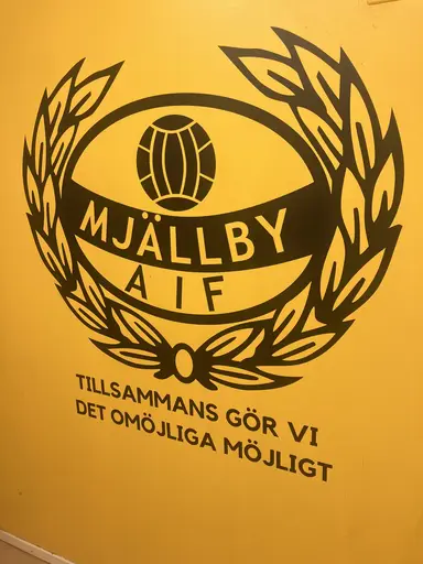 VIF mot allsvenskan 