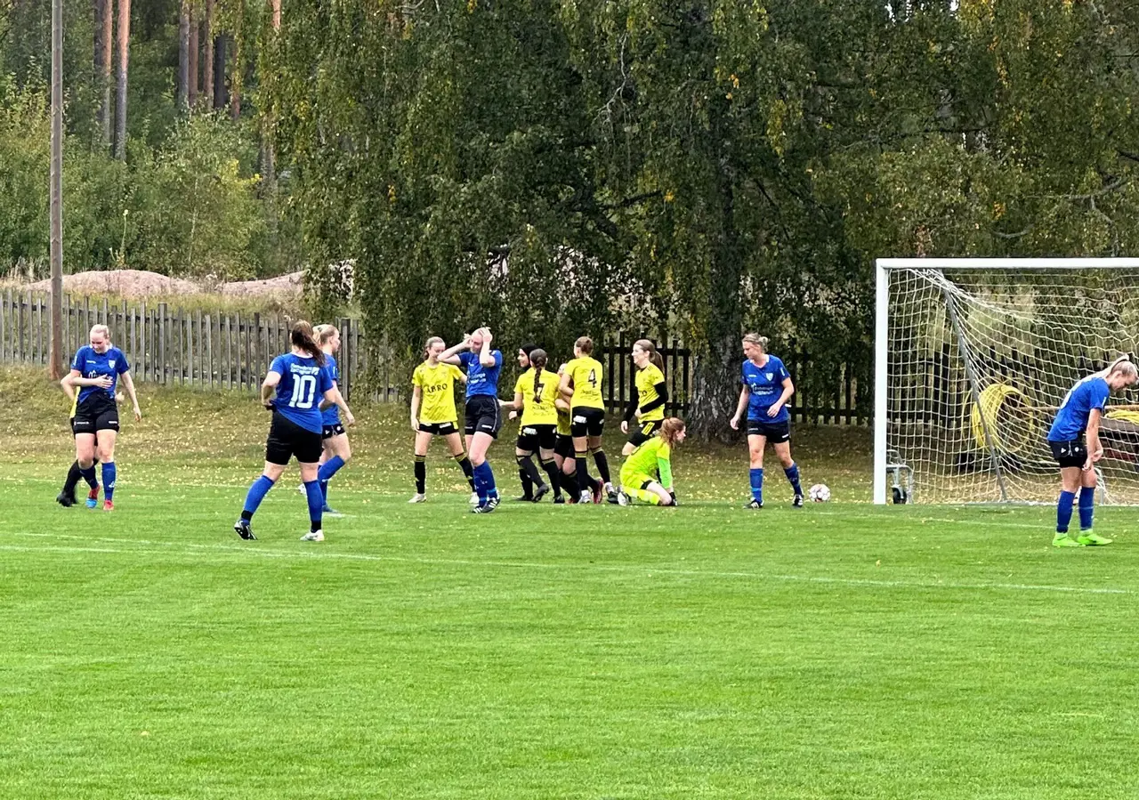 Glädje efter att Reta forcerat in reduceringen 3-2 i början av andra