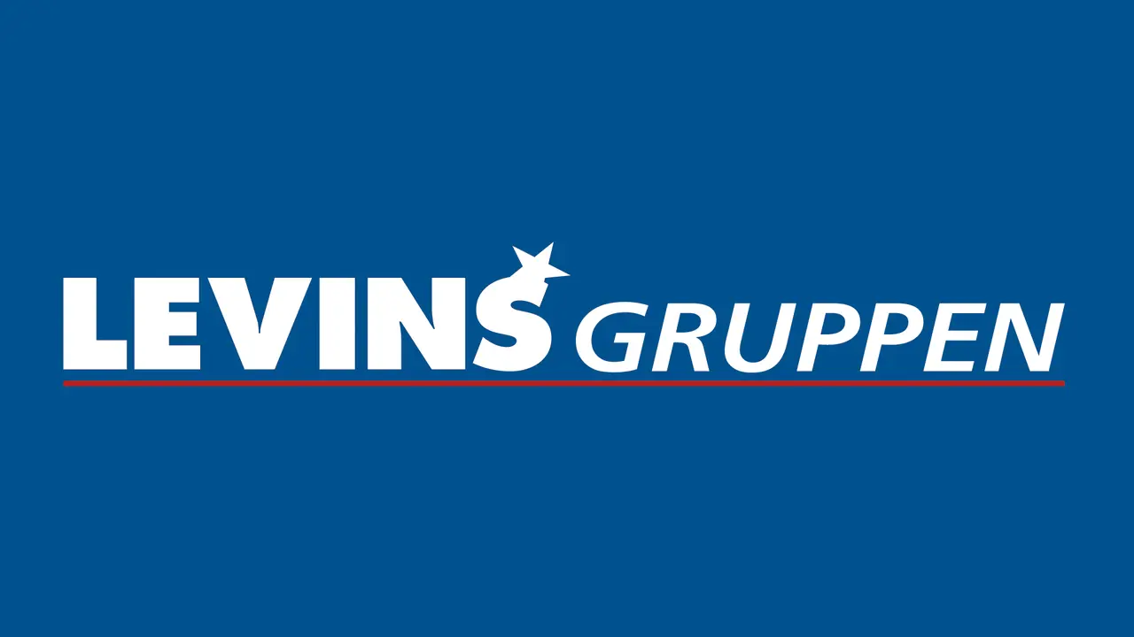Levinsgruppen