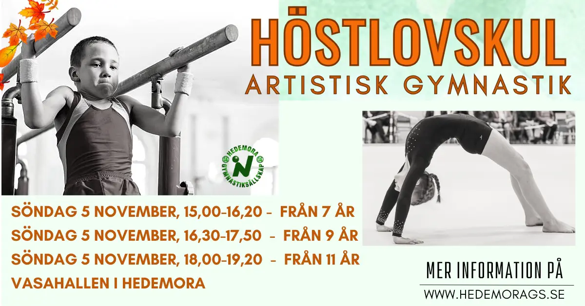 Kom och prova AG söndag den 5 november i Vasahallen, Hedemora
