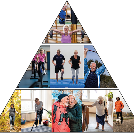 Träningspyramid från Svenska gymnastikförbundet. - Vardagsmotion och styrketräning - därför är det viktigt att träna