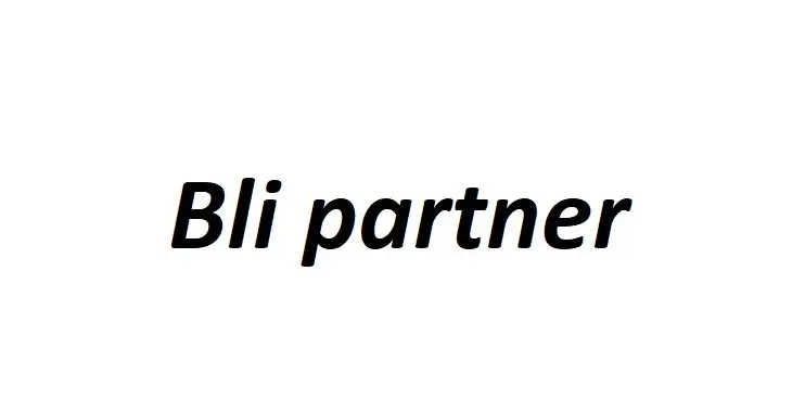 Bli partner