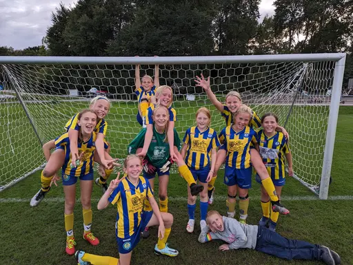 Året som gått med F12