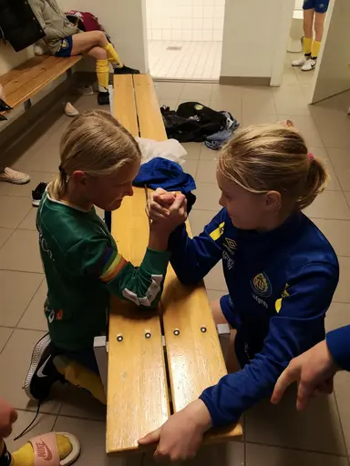 Året som gått med F12