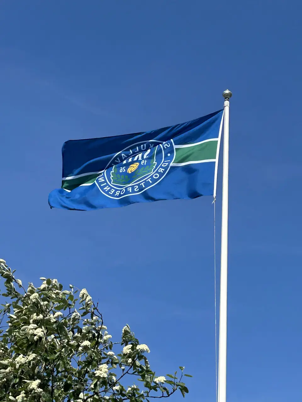 P12 kommer att hålla den blå-gröna flaggan högt under Gothia!
