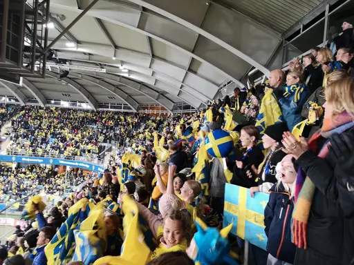 Sverige 3 - Frankrike 0!