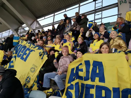 Sverige 3 - Frankrike 0!