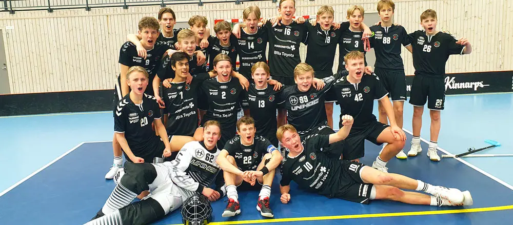 VIB:s lag i P16 USM
