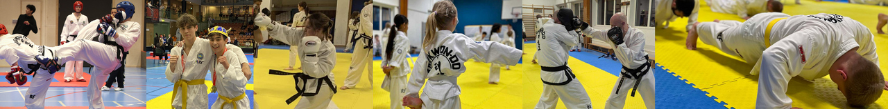 Lindome TKD Klubb