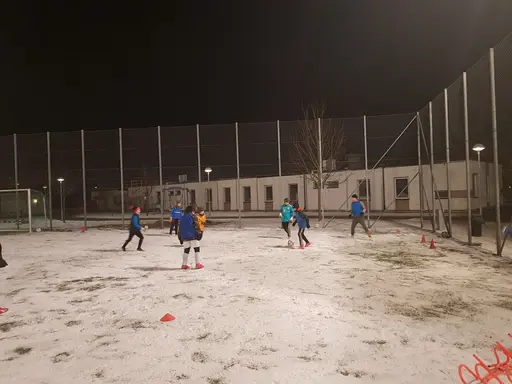 Bilder från träning under februari månad 2021 i snö och kyla.