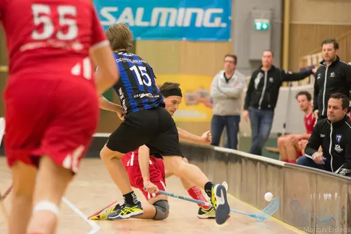 Foto: Marcus Erdeös