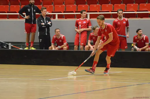 Foto: Marcus Erdeös