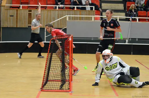 Foto: Marcus Erdeös