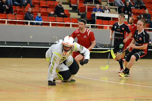 Foto: Marcus Erdeös