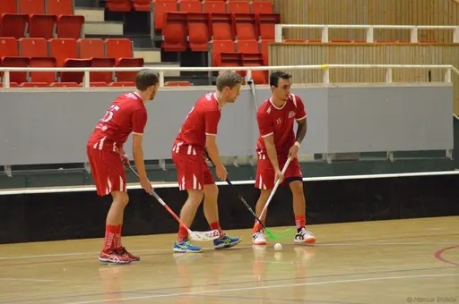 Foto: Marcus Erdeös