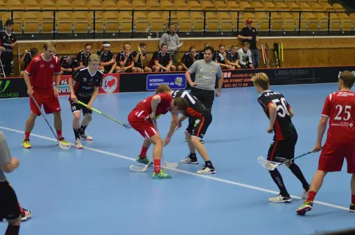 Foton: Marcus Erdeös