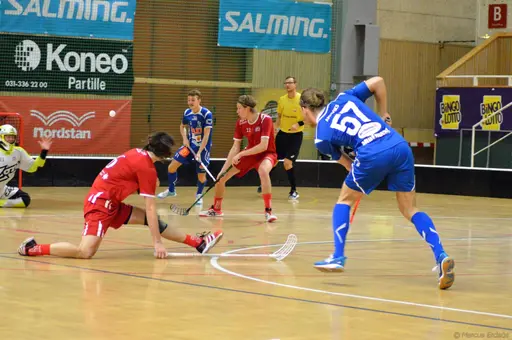 Foto: Marcus Erdeös