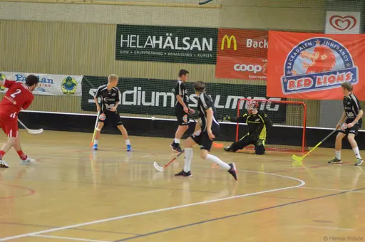 Foto: Marcus Erdeös