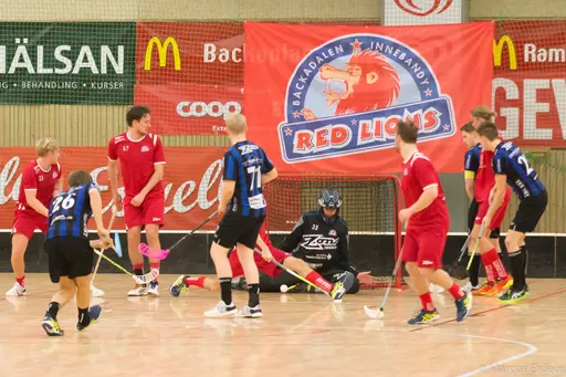 Foto: Marcus Erdeös
