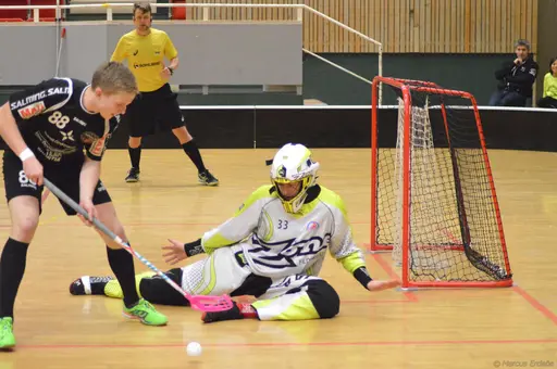 Foto: Marcus Erdeös