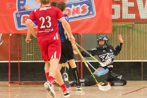 Foto: Marcus Erdeös