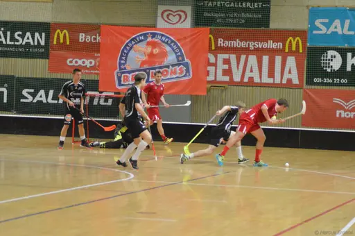 Foto: Marcus Erdeös