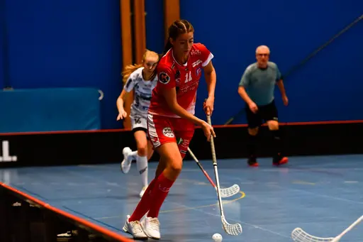 Foton: Tony Turujlija
