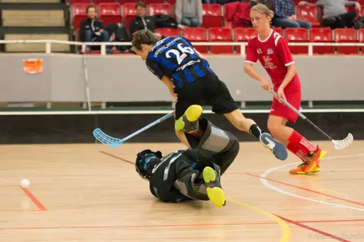 Foto: Marcus Erdeös