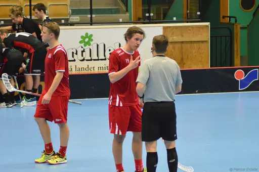 Foton: Marcus Erdeös