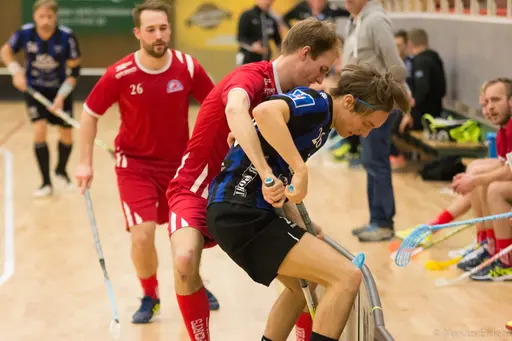 Foto: Marcus Erdeös