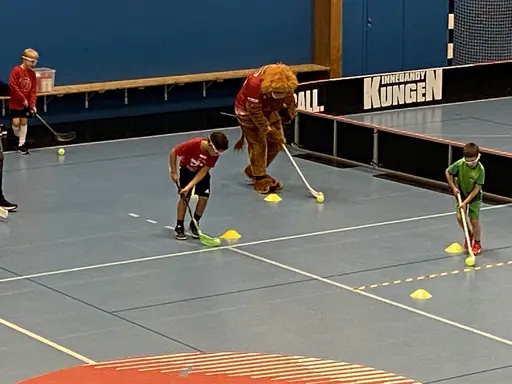 Idag på Lejonskolan hade vi finbesök av vårat Lejon. Ett mycket uppskattat inslag. Dock tyckte barnen att han inte va så bra på innebandy då han höll klubban med en hand. 