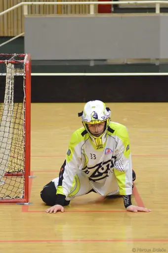 Foto: Marcus Erdeös