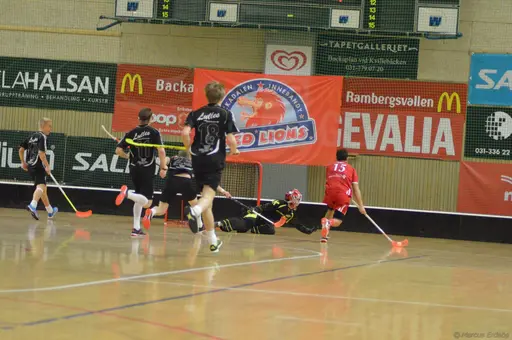 Foto: Marcus Erdeös