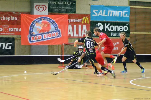 Foto: Marcus Erdeös