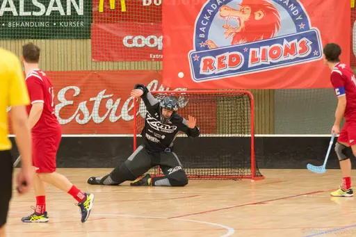 Foto: Marcus Erdeös