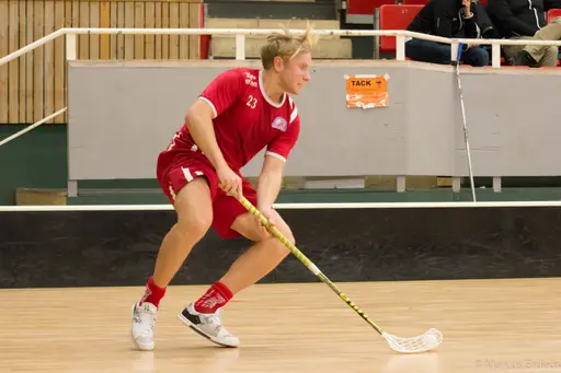 Foto: Marcus Erdeös