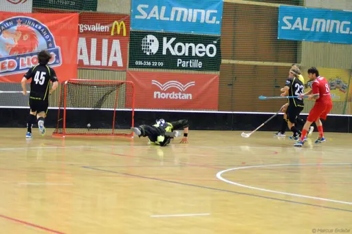 Foto: Marcus Erdeös