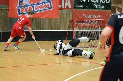 Foto: Marcus Erdeös