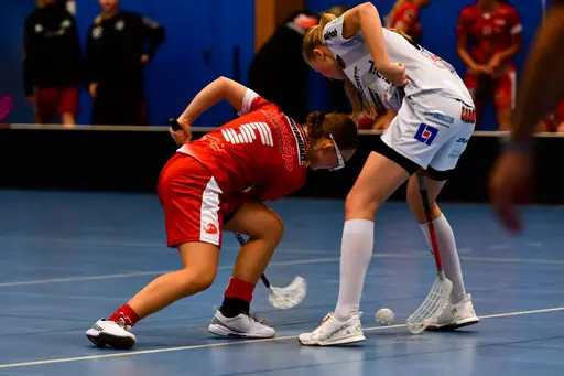 Foton: Tony Turujlija