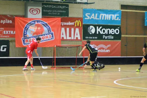 Foto: Marcus Erdeös