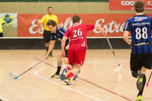 Foto: Marcus Erdeös