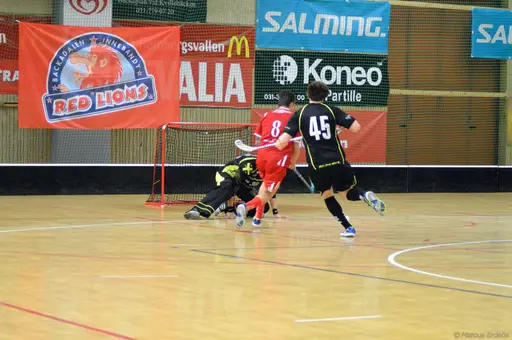 Foto: Marcus Erdeös