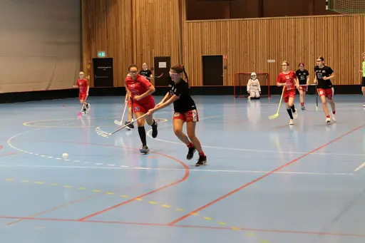 Matchbilder