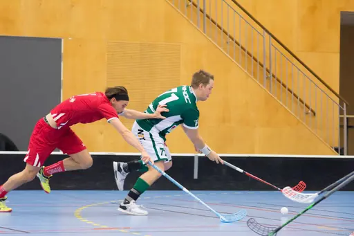 Foto: Marcus Erdeös