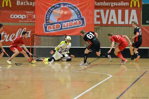 Foto: Marcus Erdeös