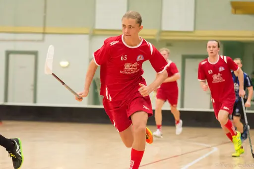 Foto: Marcus Erdeös