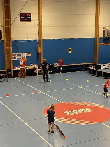 Idag på Lejonskolan hade vi finbesök av vårat Lejon. Ett mycket uppskattat inslag. Dock tyckte barnen att han inte va så bra på innebandy då han höll klubban med en hand. 