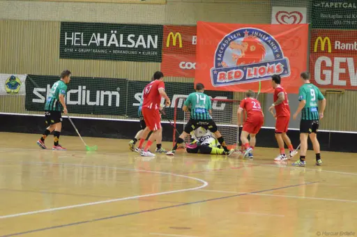 Foto: Marcus Erdeös