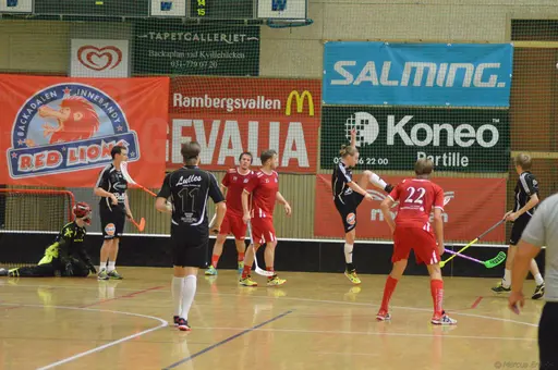 Foto: Marcus Erdeös